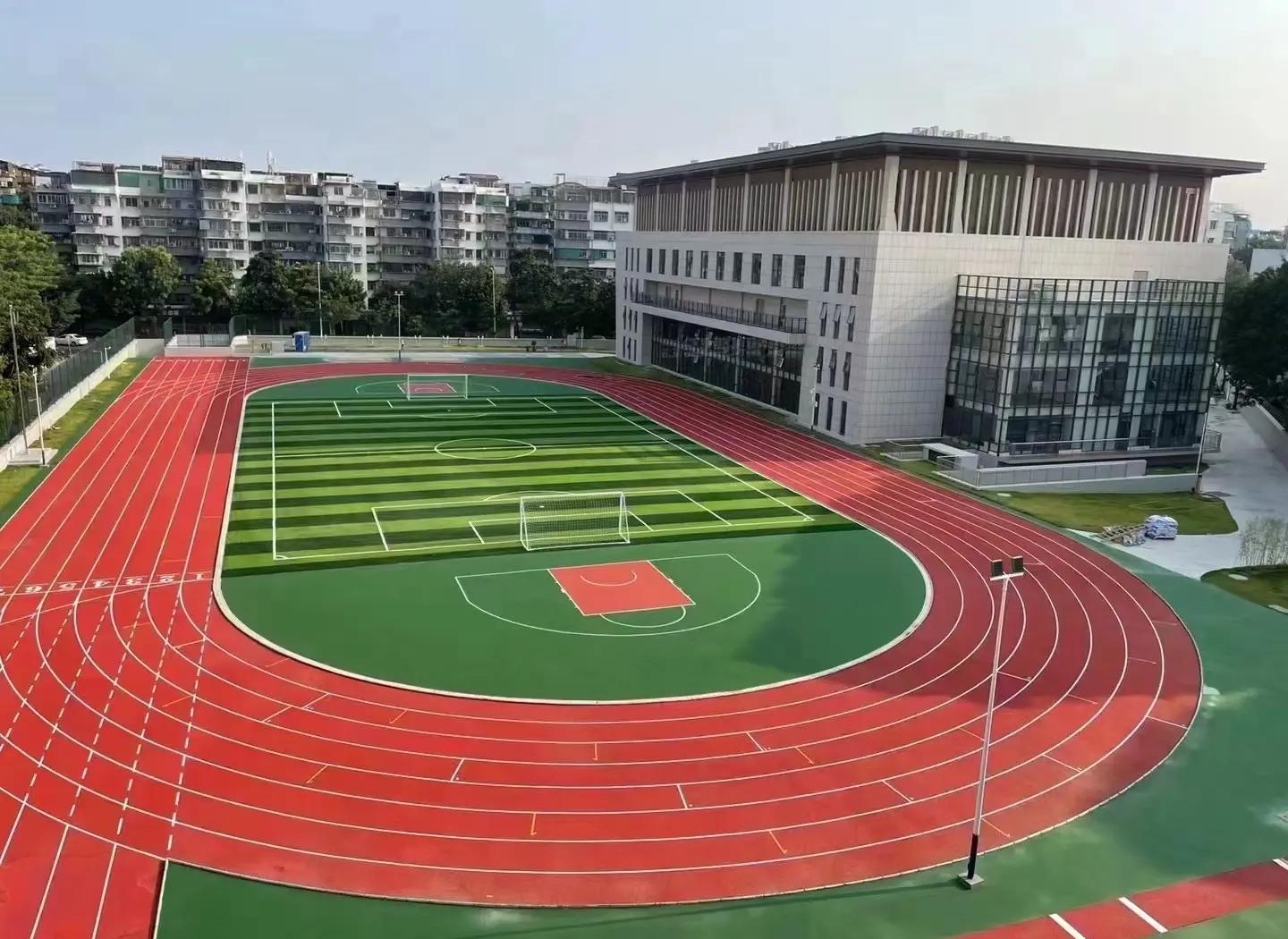 定安县人造草坪塑胶篮球场 - 厂家