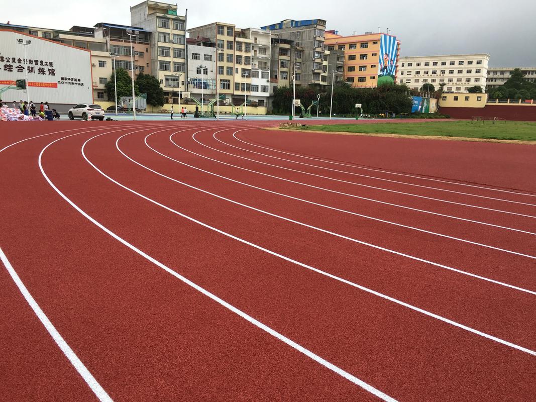 定安县人造草坪塑胶跑道材料 - 排名